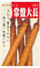 新江戸川菜豆(つるなしインゲン)