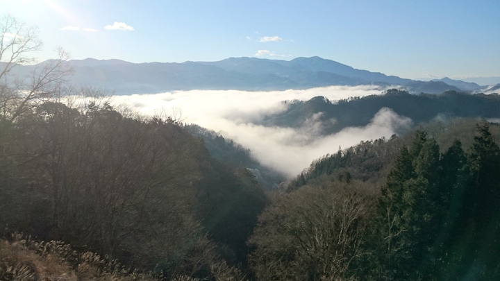 201611812041.JPG
