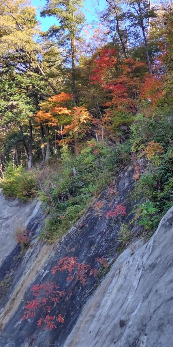 紅葉が始まりましたサムネイル