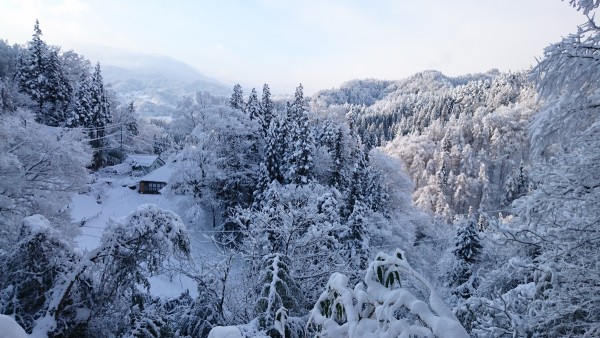 雪の朝サムネイル