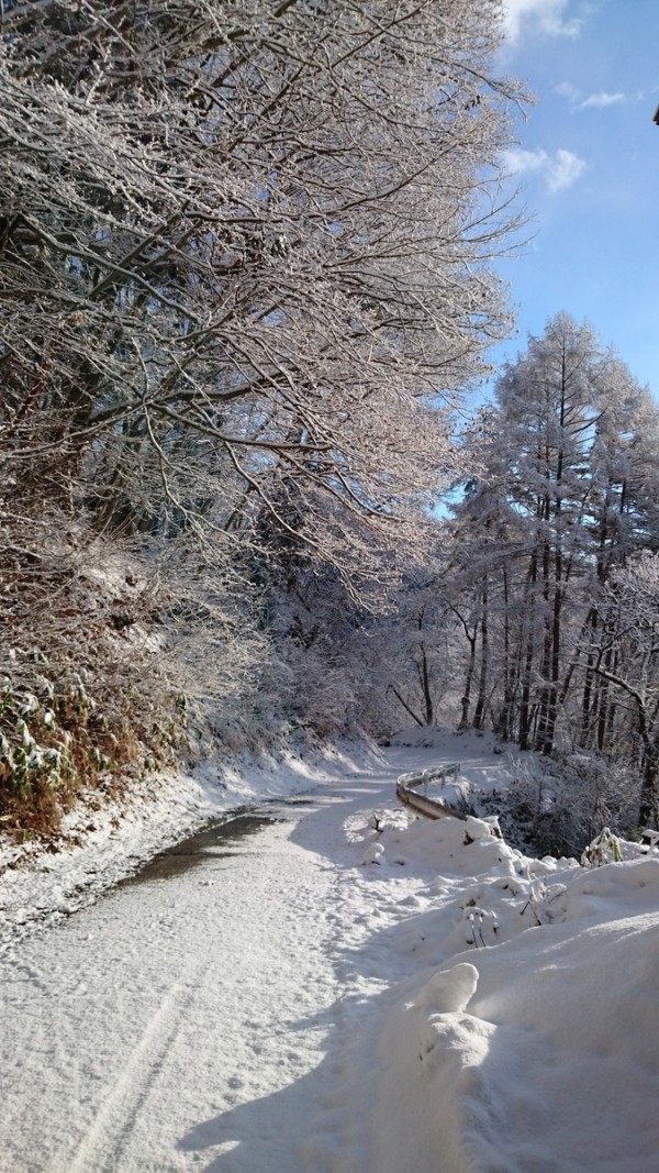 雪の後の晴れ間サムネイル