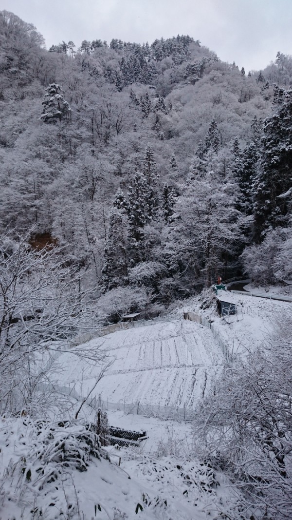 春の雪サムネイル