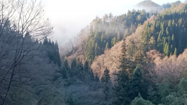 朝の冷え込みが厳しくなってきましたサムネイル