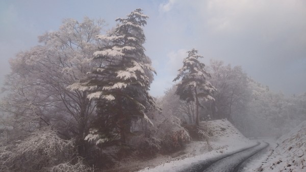 いよいよ雪がサムネイル