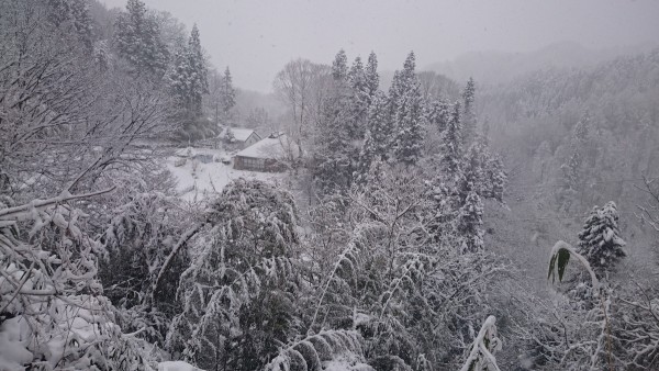 大雪ですサムネイル