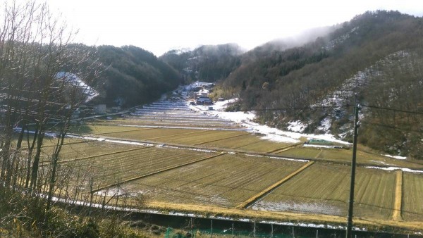 春の気配サムネイル