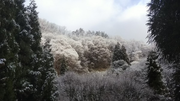 ４月なのに、雪がサムネイル