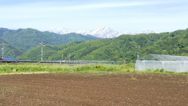 雨の後のアルプスサムネイル