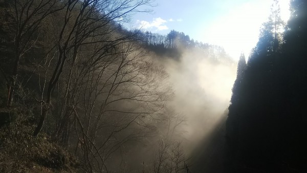 朝の冷え込みに、霧が発生サムネイル