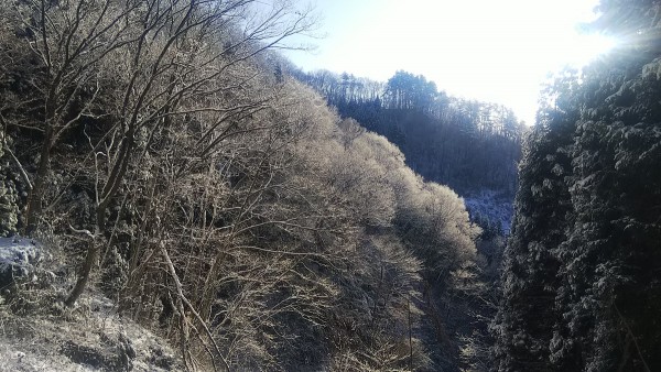 雪は降ったがサムネイル