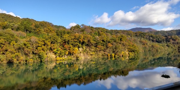 紅葉が進んできましたサムネイル