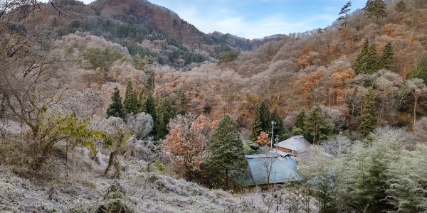 霜が降りて、木々が化粧をサムネイル