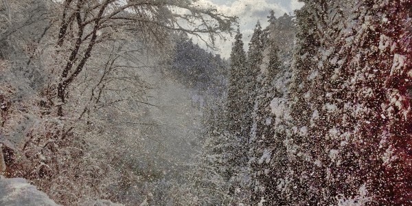 雪しぶきサムネイル