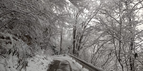 お彼岸の雪サムネイル