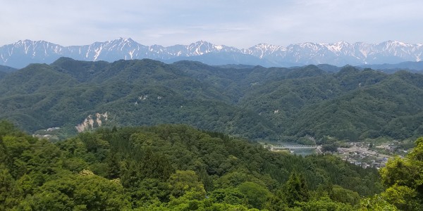 夏至の北アルプスと山道の花サムネイル
