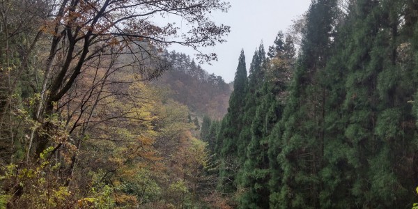 瞬く間に秋は過ぎ去りサムネイル