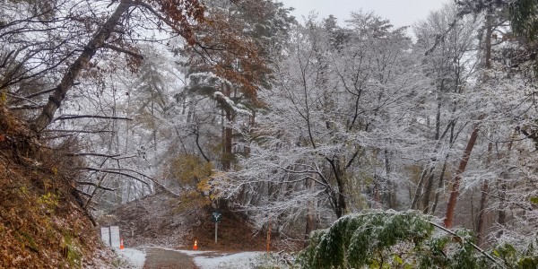 とうとう雪がサムネイル