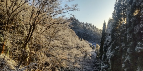 降った雪に、太陽が当たると、サムネイル