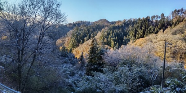 今朝はうっすらと雪が降り、サムネイル