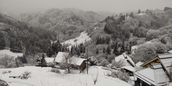 今年の寒波は長いですねサムネイル