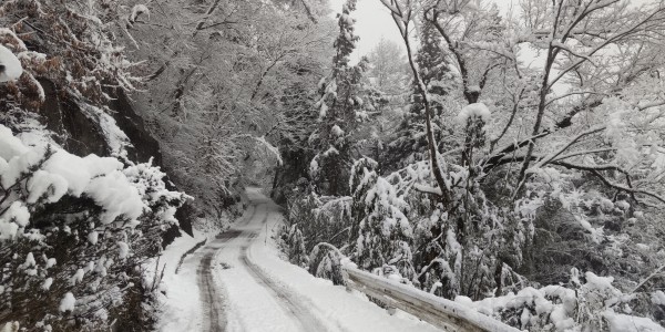 春が来たと思ったら、まだまだですねぇ(-_-;)サムネイル