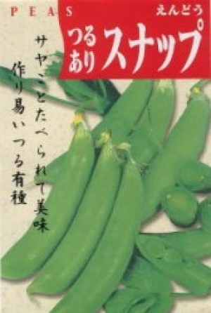 スナップ豌豆(スナックエンドウ)